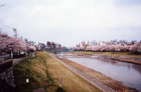 金沢観光（桜橋から眺める大橋）土塀の残る街、金沢（1）