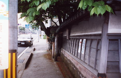 金沢観光（松月寺の大桜）土塀の残る街、金沢