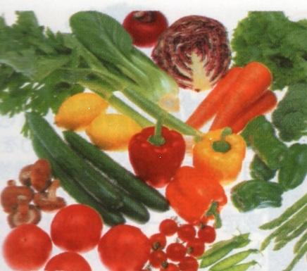 野菜粉末:生薬・漢方薬の通信販売