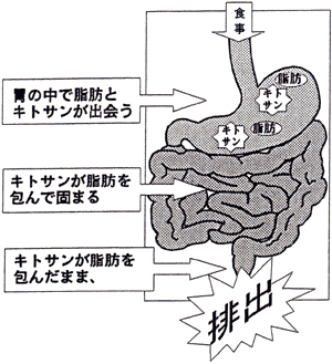 キトサン + VitaminC画像